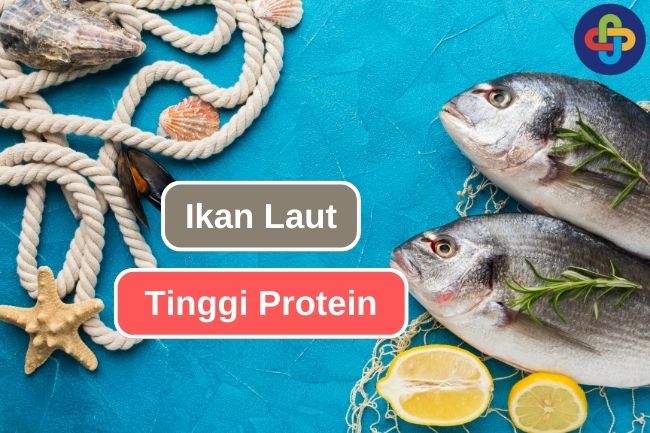 Mari Kenali 10 Ikan Laut Berprotein Tinggi